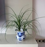 Übertopf / Vase im asiatischen Design *** Höhe 14,5 cm Nordrhein-Westfalen - Hamm Vorschau