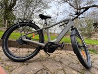 Canyon precede:ON CF Größe M category 2e citybike carbon, eBike Rheinland-Pfalz - Merlscheid Vorschau