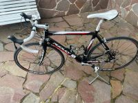 Rennrad Carbon Ridley Orion Gr.M Saarland - Merzig Vorschau