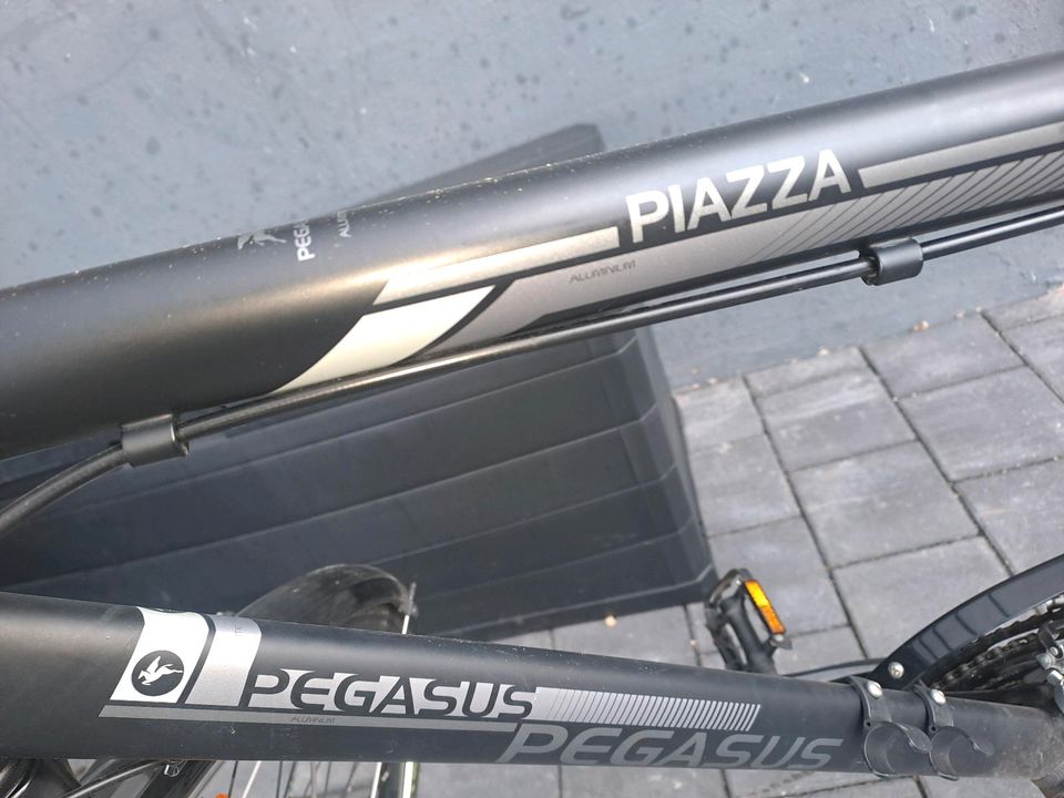 Herren Fahrrad Pegasus Piazza in Extertal