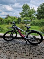E- BikeBulls  E-Stream Eva 1 E-MTB Hardtail 27,5" Bayern - Bad Neustadt a.d. Saale Vorschau