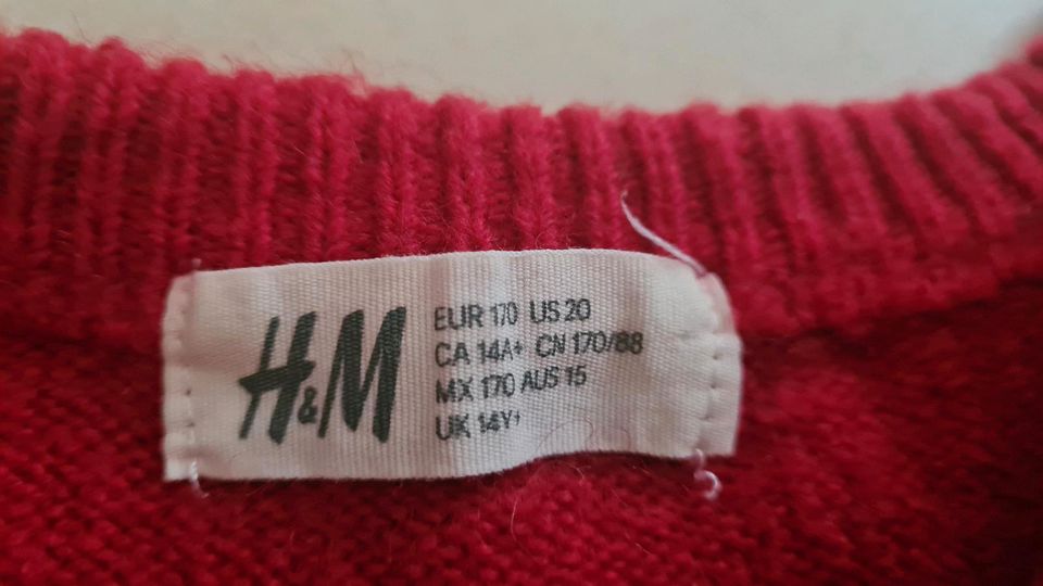 2 Pullover/Pullis H&M Gr. 170 in Berlin