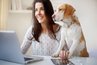 Call Center Agent m/w/d Mitnahme Hund möglich ab 15,50 EUR Nürnberg (Mittelfr) - Südoststadt Vorschau