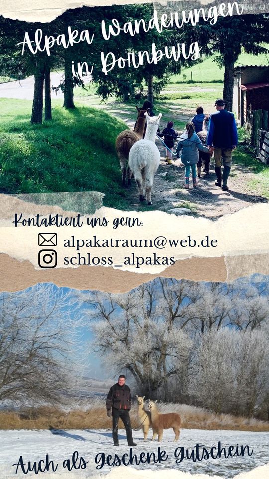 Alpaka Wanderung bei Jena (Thür.) - auch als Geschenk Gutschein) in Jena