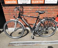 Herrenfahrrad 28 Zoll Nordrhein-Westfalen - Paderborn Vorschau