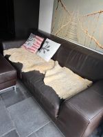 Leder Sofa Baden-Württemberg - Konstanz Vorschau