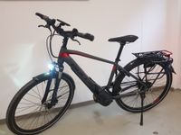 E-Bike Bulls Lacuba Evo E8 Niedersachsen - Wolfsburg Vorschau