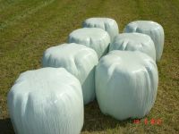 Heulage,Silage,Mini Rundballen Sachsen - Crinitzberg Vorschau