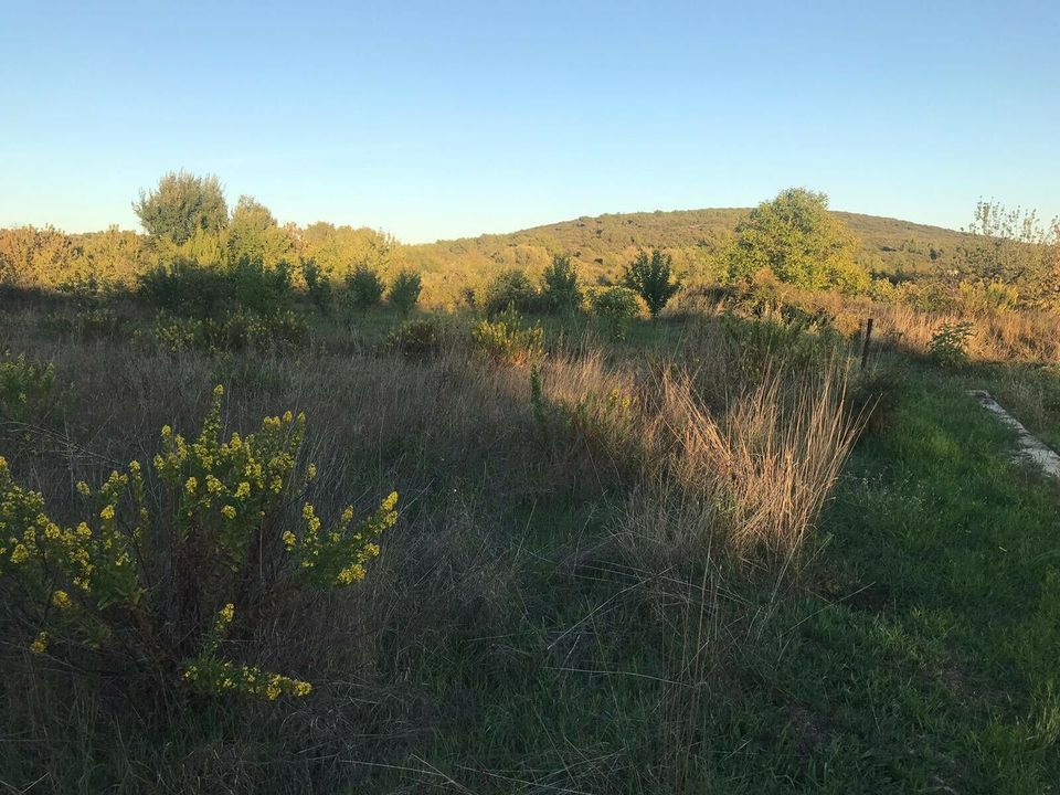 Bauplatz Grundstück von privat am Meer Sukosan bei Zadar 1743 qm in Schönaich