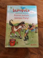 Komm zurück kleines Pony Erstlesebuch Buch Klasse 1 Münster (Westfalen) - Gremmendorf Vorschau