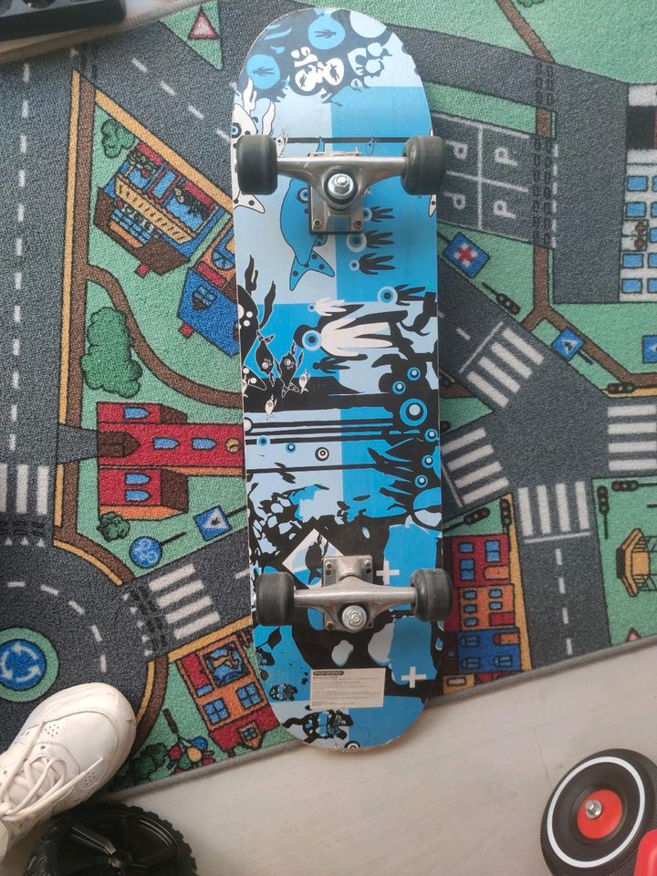 Skateboard in Euskirchen