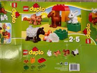 LEGO Duplo Tiere Baden-Württemberg - Horb am Neckar Vorschau