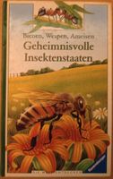 Geheimnisvolle Insektenstaaten - Bienen, Wespen, Ameisen Bayern - Mühldorf a.Inn Vorschau