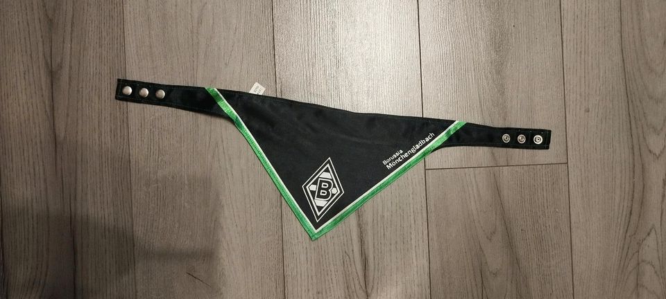 ⭐Borussia Mönchengladbach | Hundehalstuch in Mönchengladbach