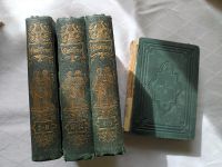 Shakespeare antiquarische Bücher 4 Bände Leipzig - Connewitz Vorschau