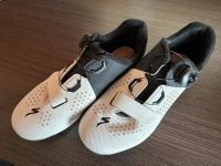 Specialized Torch 2.0 Rennradschuhe 39,5 Sachsen - Eichigt Vorschau