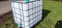 IBC 1000 L, Wasserfass, Regentank, neu, 2 Stück 150 €,Fest Preise Baden-Württemberg - Offenburg Vorschau