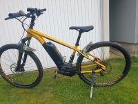 Herren eBike Ghost Teru 29" Sachsen-Anhalt - Landsberg (Saalekreis) Vorschau