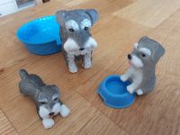 2 Hundesets Schnauzer Mutter +2 Welpen + Korb + Napf Nordrhein-Westfalen - Sankt Augustin Vorschau