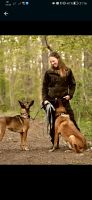 Mobile Hundeschule, Hundetrainer, Hund Kabelsketal - Großkugel Vorschau