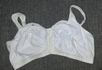 Still-BH ANITA MATERNITY GR. 110E Sachsen - Lichtenstein Vorschau