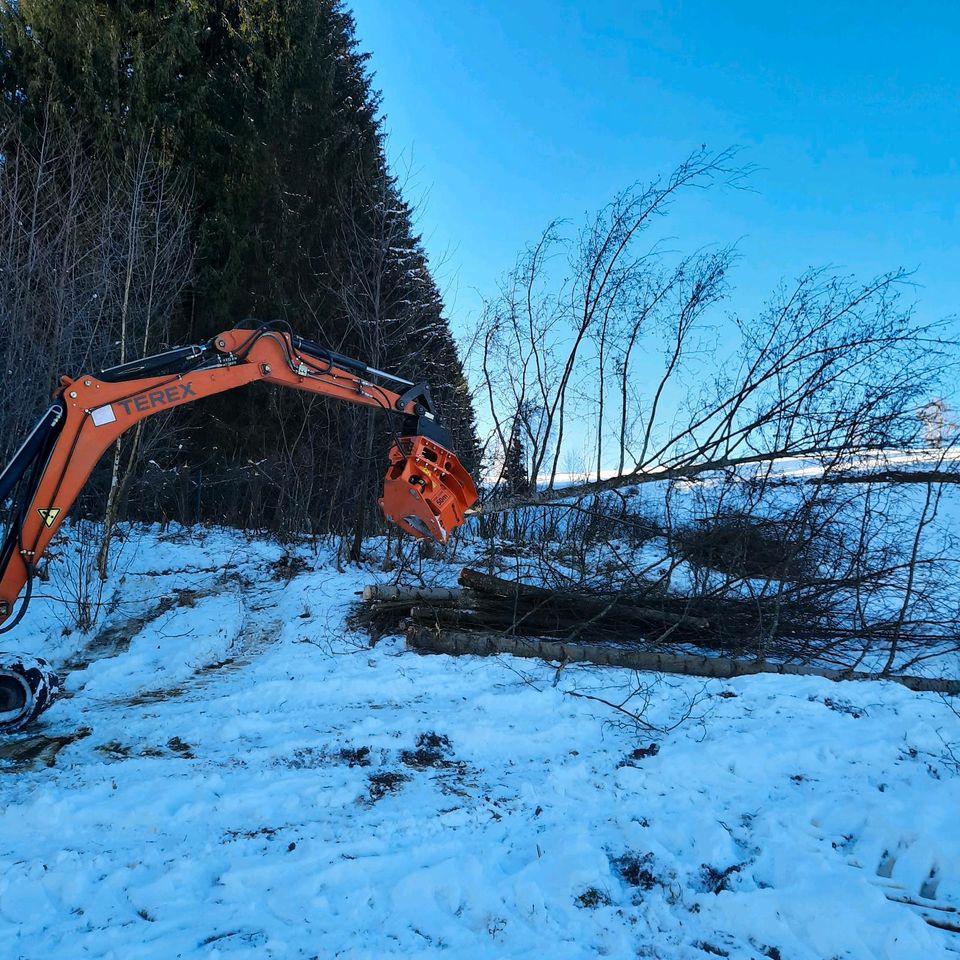 Fällgreifer Euroaufnahme Westtech Baumschere Energieholz in Breitenberg