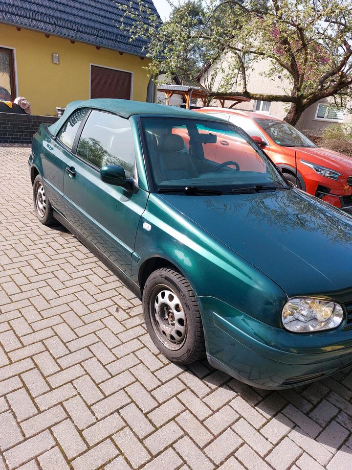 Golf 4 Cabrio in Oranienburg