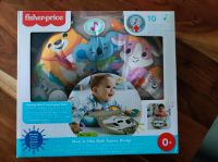 Fisher Price Faultier Faultierkissen Neu+OVP Rheinland-Pfalz - Unnau Vorschau