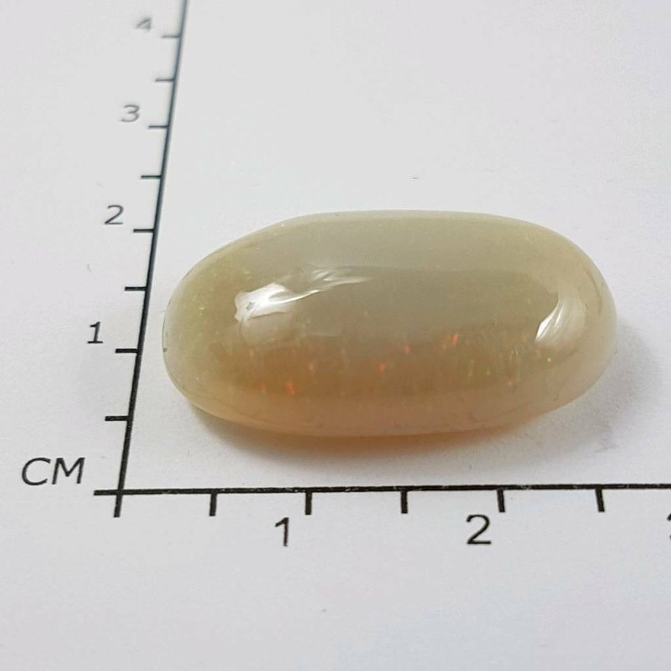 Echter ovaler Opal Cabochon ( 18,41 Carat ) 25 x 14,5 mm in Recklinghausen