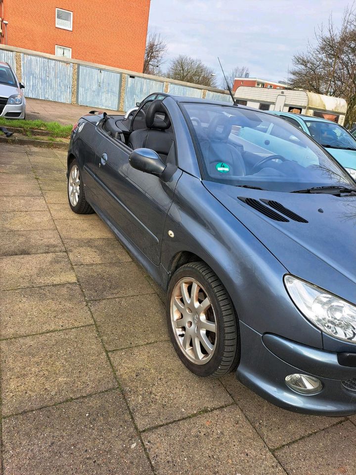 Peugeot 206 cc Cabrio in Lauenburg