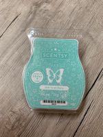 Scentsy Bar Wachsmelt Mint to be Merry 9€ inkl Versand Bayern - Altdorf bei Nürnberg Vorschau