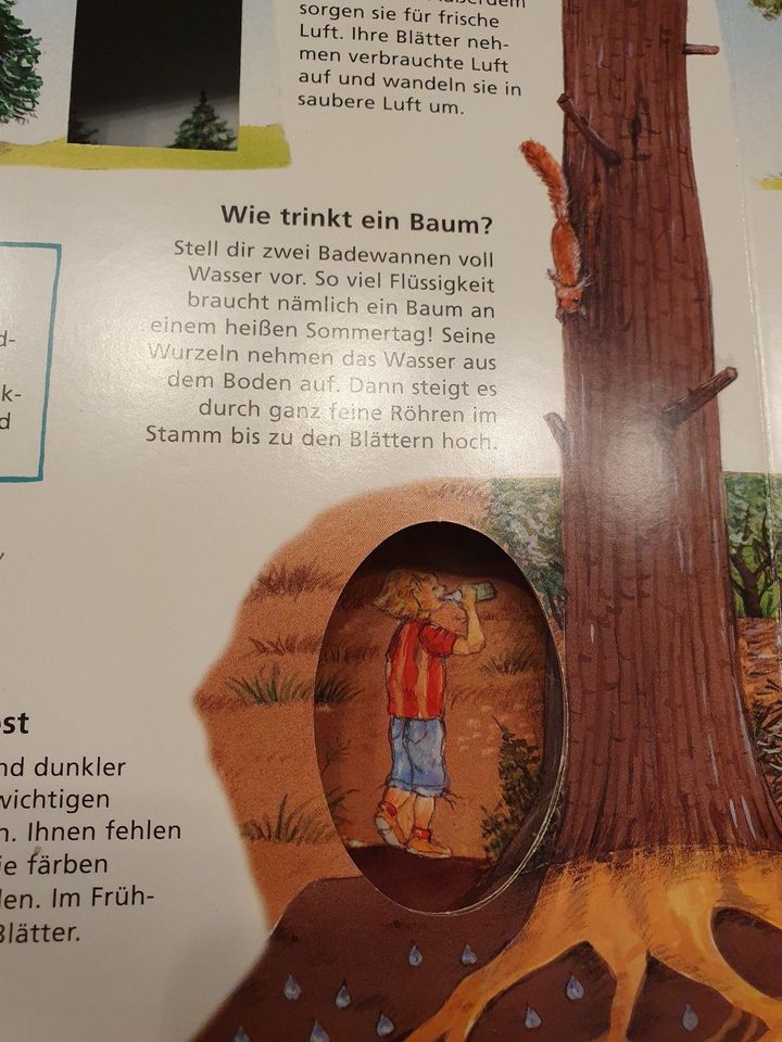 Der Kinder Brockhaus "Was lebt und wächst im Wald?" in Haltern am See