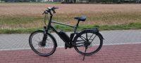 Fahrrad zum E-Bike/Pedelec Umbauen Dogscooter E-Dogscooter Nordrhein-Westfalen - Gladbeck Vorschau