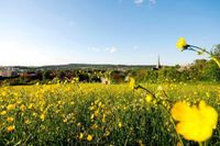 Reisegutschein Hotel Gondel Altenkundstadt Bayern Kurzurlaub trip Altona - Hamburg Ottensen Vorschau