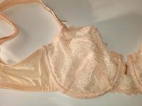 Triumph Bh, 70e, Apricot, fast wie neu Nordrhein-Westfalen - Windeck Vorschau