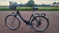 Damenrad 28" Fahrrad Citybike Alltagsrad Kalkhoff Raider Nordrhein-Westfalen - Schermbeck Vorschau