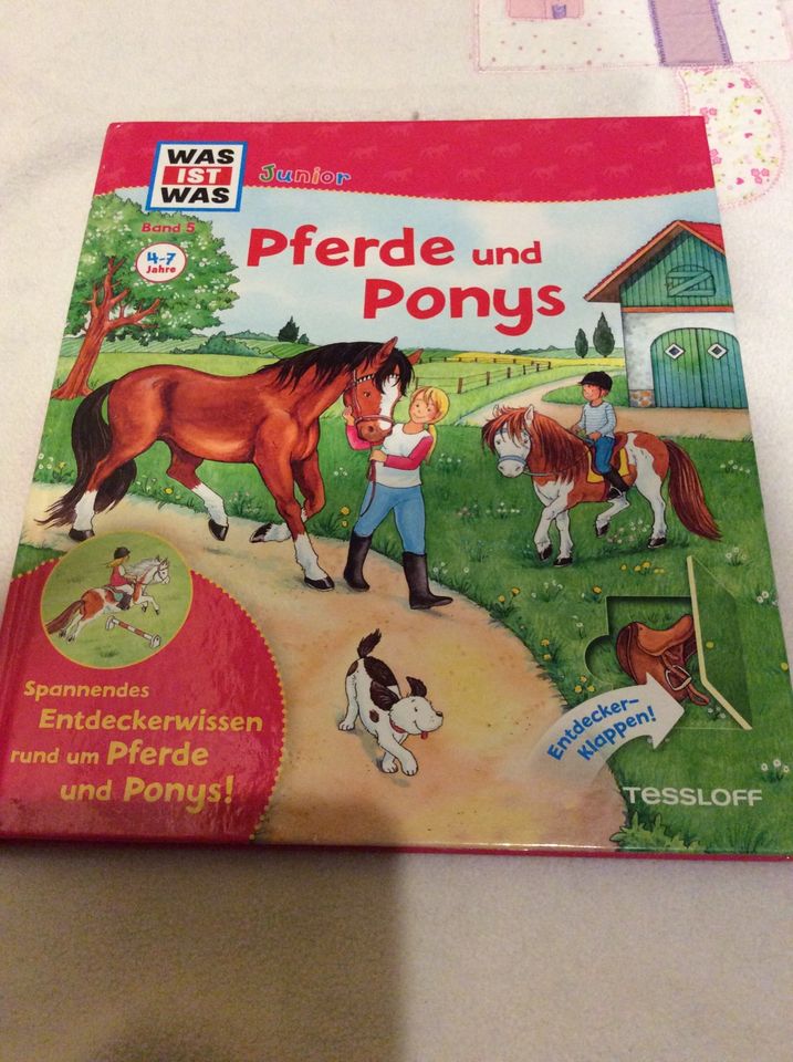 Pferde und Ponys ❤️ klappbuch was ist was Junior Band 5 in Berlin