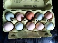 Frische Eier von glücklichen Hühnern Sachsen-Anhalt - Petersberg (Saalekreis) Vorschau