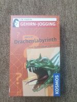 Allein im Drachenlabyrinth, Kosmos Verlag Hamburg-Nord - Hamburg Fuhlsbüttel Vorschau