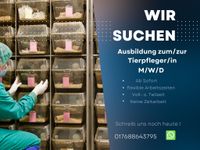 Ausbildung zum/zur Tierpfleger/in (m/w/d) Berlin - Lichtenberg Vorschau