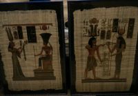 Ägypten Papyrus Bilder Wandsbek - Hamburg Bramfeld Vorschau