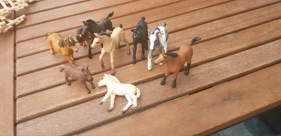 Schleich Reiterhof mit23Pferden und 8 Ponies und Transporter in Dankmarshausen