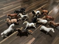 14x Schleich Pferde Farm Life Horse World und Bulle Lusiano Pinto Hessen - Gießen Vorschau