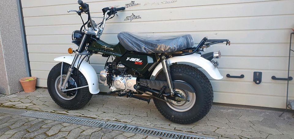 Skyteam trex 125cc neu Vorführer in Schöneck