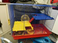 Kleintier käfig Hamster Mäuse Hessen - Borken Vorschau