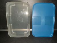 Tupperware Tupper Kühlschrankbehälter 650 ml Goldregen Sieb Retro Nordrhein-Westfalen - Unna Vorschau