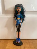 Monster High Puppe Leipzig - Leipzig, Südvorstadt Vorschau