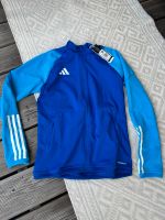 Adidas Oberteil Shirt Pullover Gr. 164 Kinder - neu Nürnberg (Mittelfr) - Mitte Vorschau