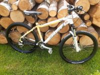 Fahrrad Mountainbike Ghost Sachsen - Striegistal Vorschau