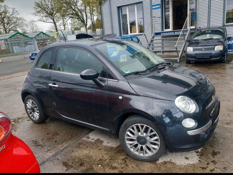 FIAT 500 1.2 TÜV NEU MIT GARANTIE in Westerstede